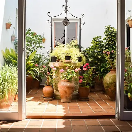 Apartamento Alexia - Complex