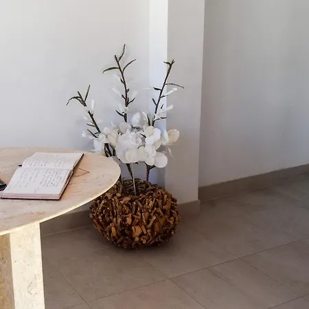 Alexia - Complex Port de Pollença