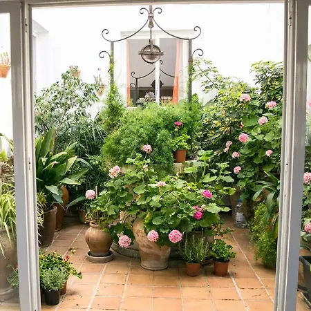 Alexia - Complex Apartamento Port de Pollença