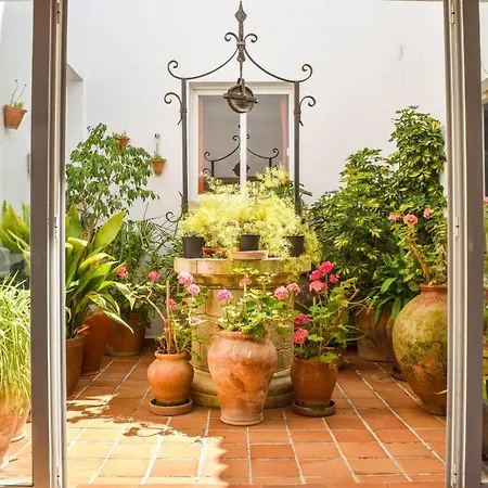 Apartment Alexia - Complex